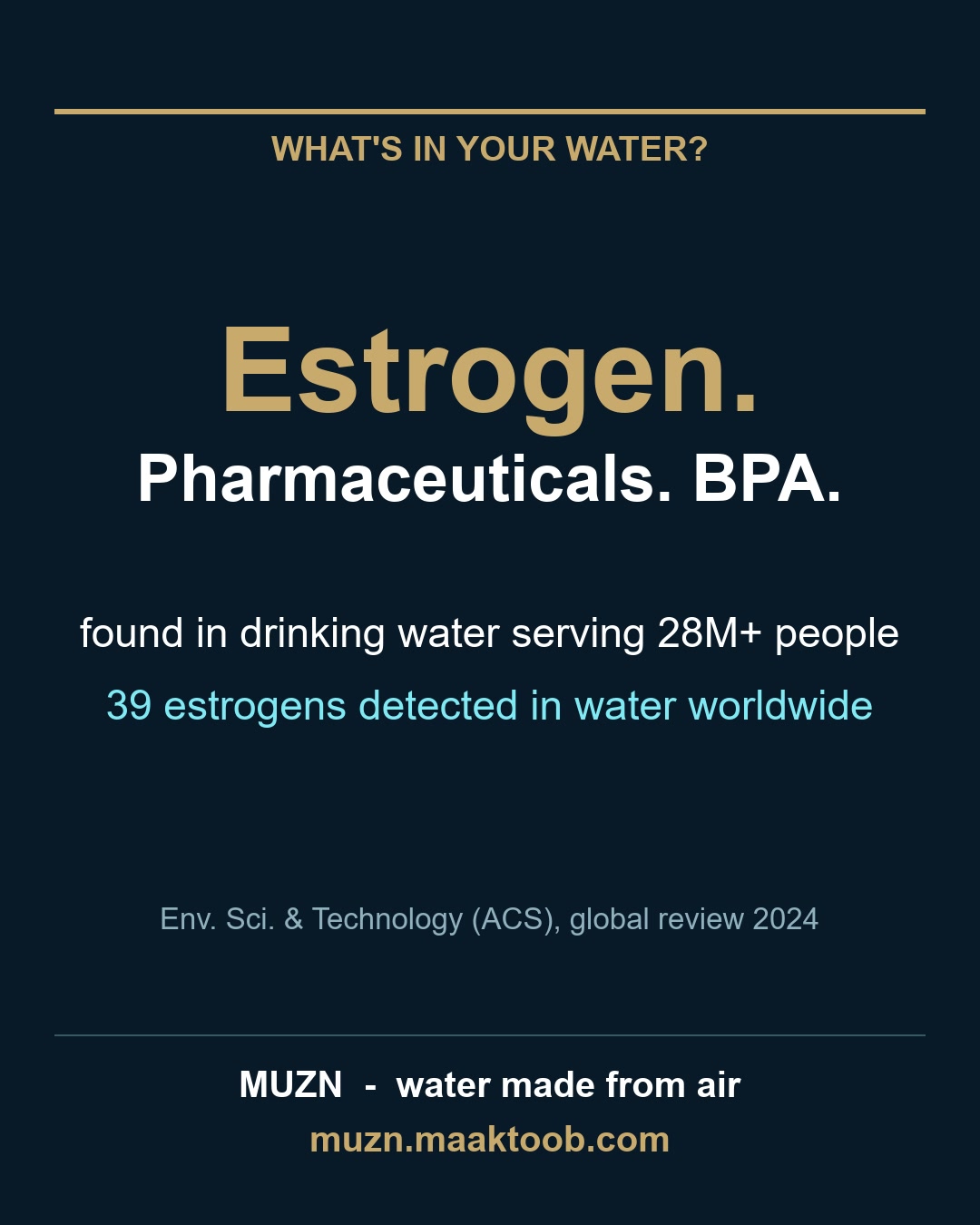 Estrogen pharmaceuticals